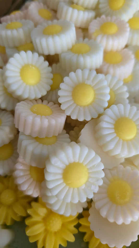 Strong scented choose springtime or summer themed wax melt boxes 150g Long lasting home fragrance
